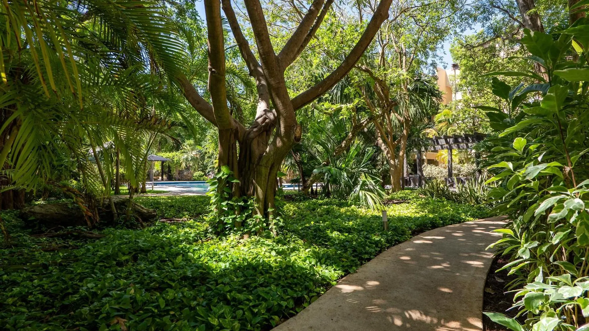 Vaiven Apartamento Playa del Carmen México